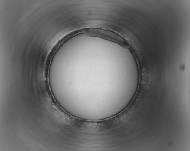 X0000116460880200912231359
