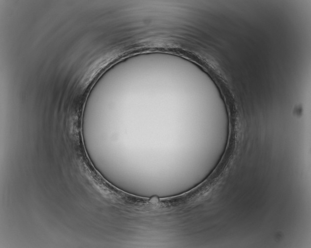 X0000116460881200912231358