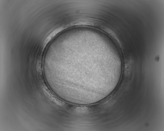 X0000116460882200912231358