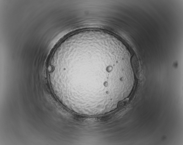 X0000116460883200912231358
