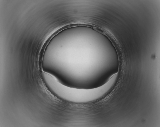X0000116460884200912231358