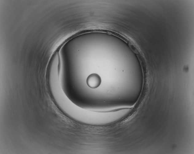 X0000116460885200912231358