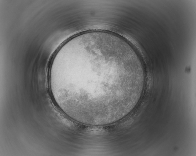 X0000116460886200912231358