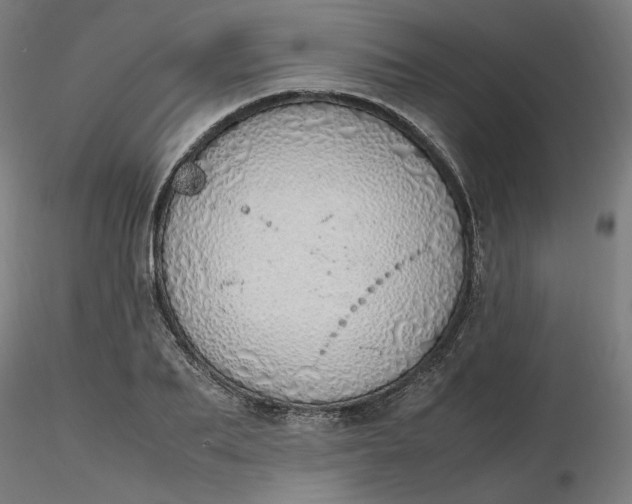 X0000116460887200912231358
