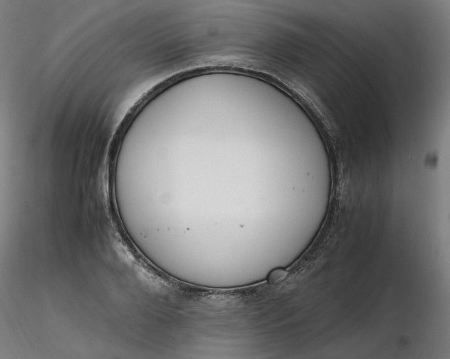 X0000116460888200912231358