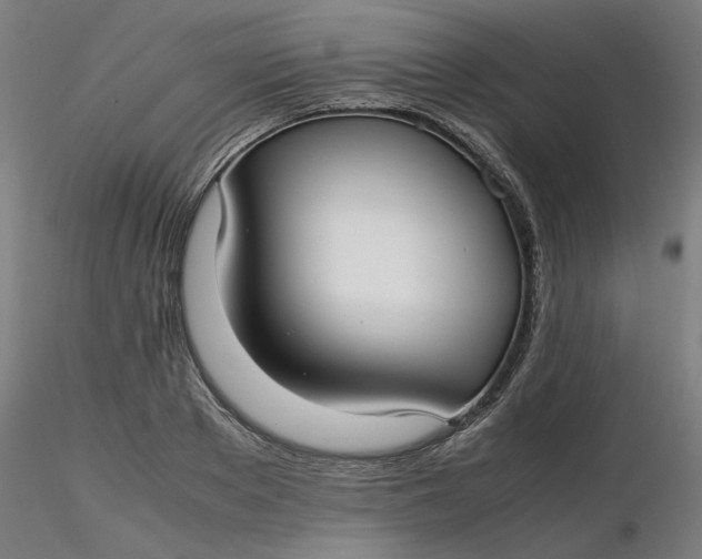 X0000116460889200912231358