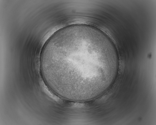 X0000116460890200912231358