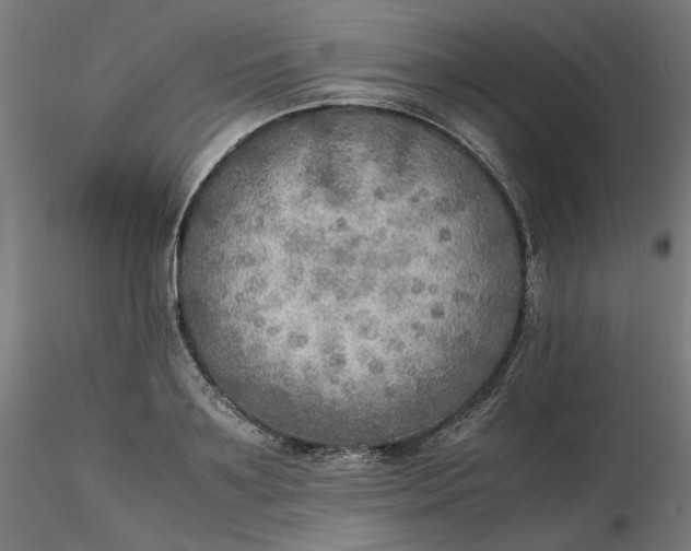 X0000116460891200912231358