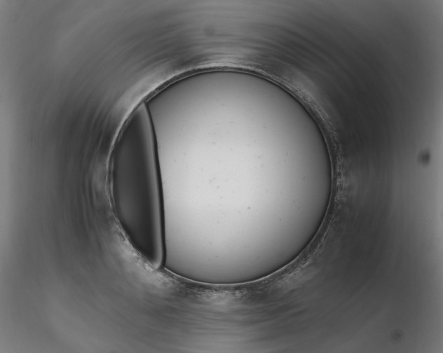 X0000116460892200912231358
