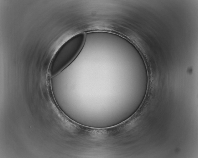X0000116460893200912231358