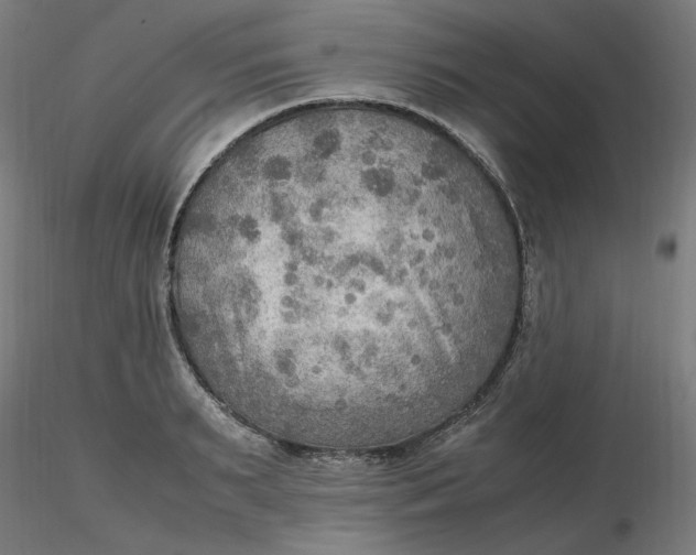 X0000116460895200912231358