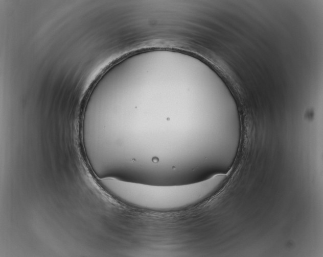 X0000116460896200912231358