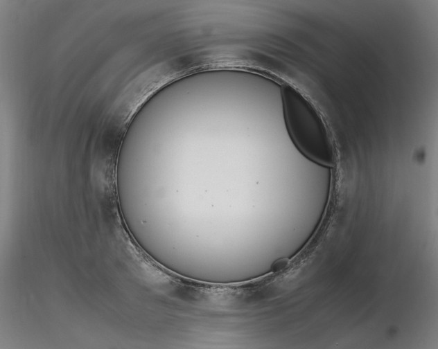X0000116460897200912231358