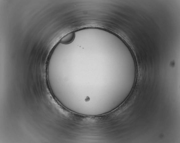 X0000116460898200912231358