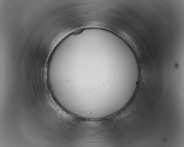 X0000116460900200912231358