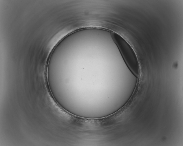 X0000116460901200912231358