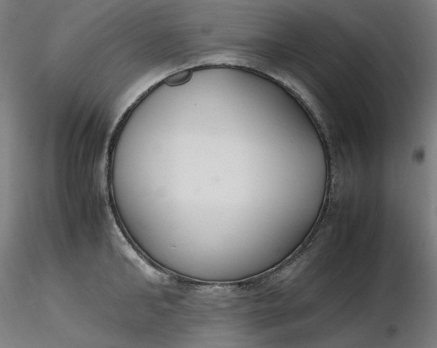 X0000116460902200912231358