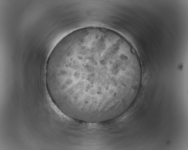 X0000116460903200912231358