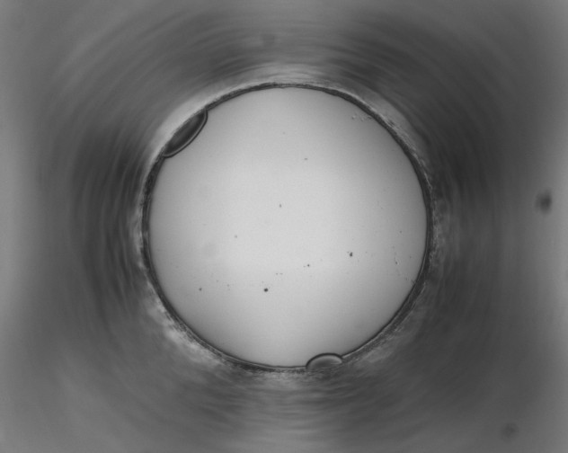 X0000116460904200912231358