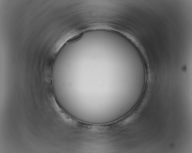X0000116460905200912231358