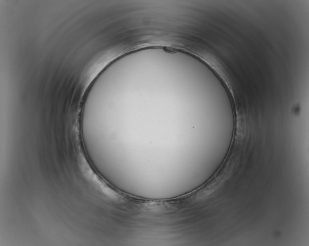 X0000116460906200912231358
