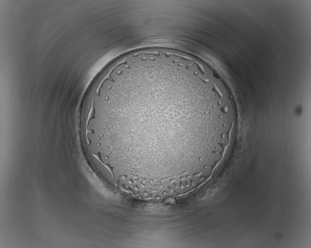 X0000116460907200912231358