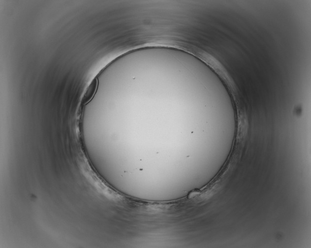 X0000116460908200912231358