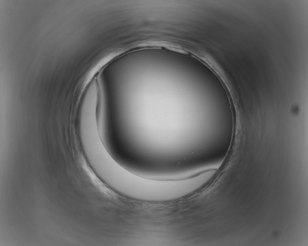 X0000116460909200912231358