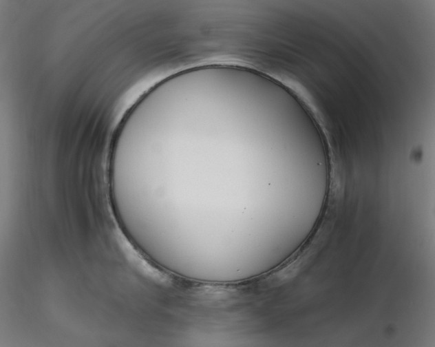 X0000116460910200912231358