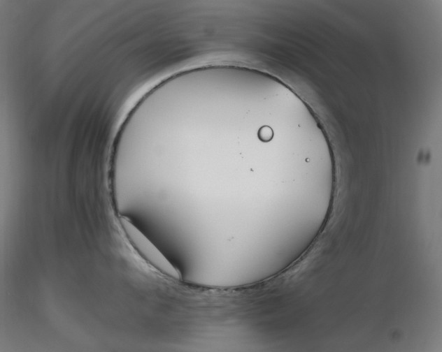 X0000116460912200912231358