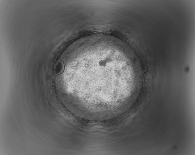 X0000116460913200912231357