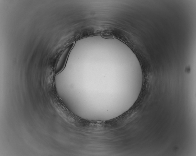 X0000116460914200912231357