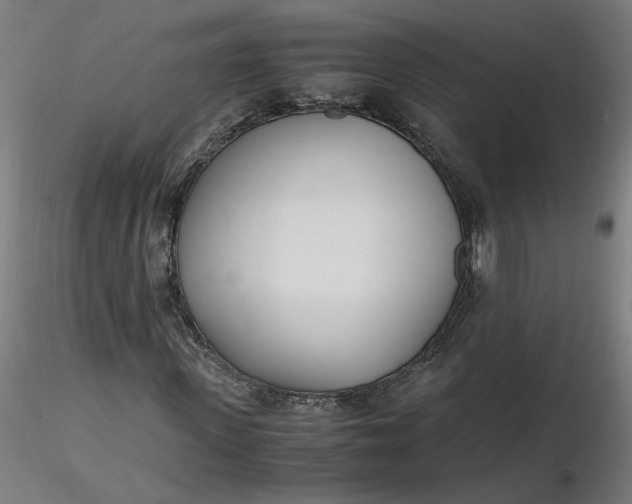 X0000116460915200912231357