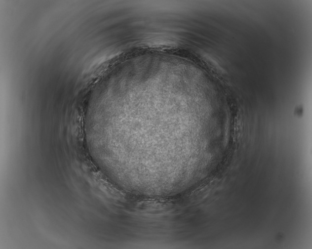 X0000116460917200912231357