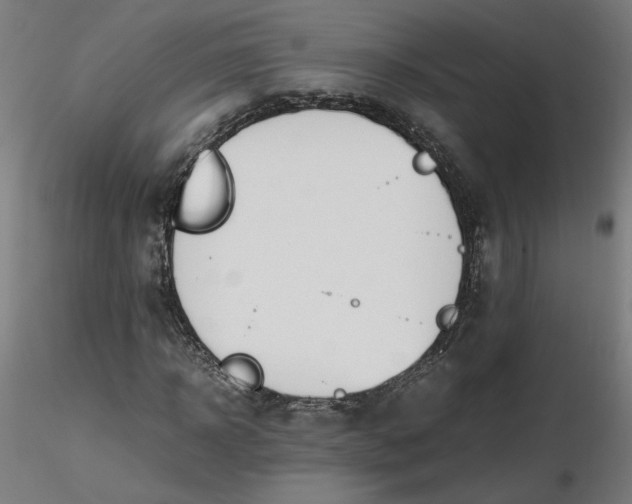 X0000116460918200912231357