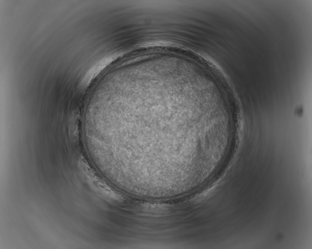 X0000116460921200912231358