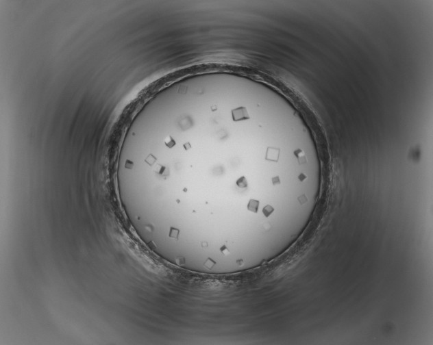 X0000116460923200912231358
