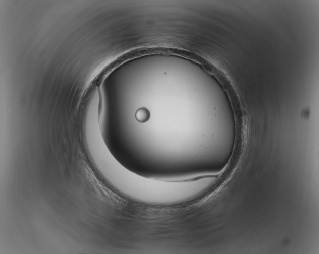 X0000116460925200912231358