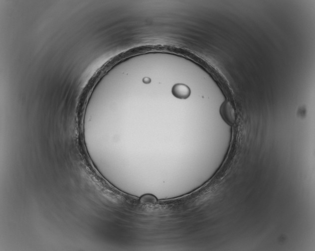 X0000116460927200912231358