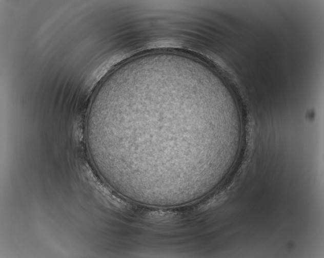 X0000116460929200912231358
