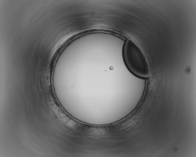 X0000116460931200912231358