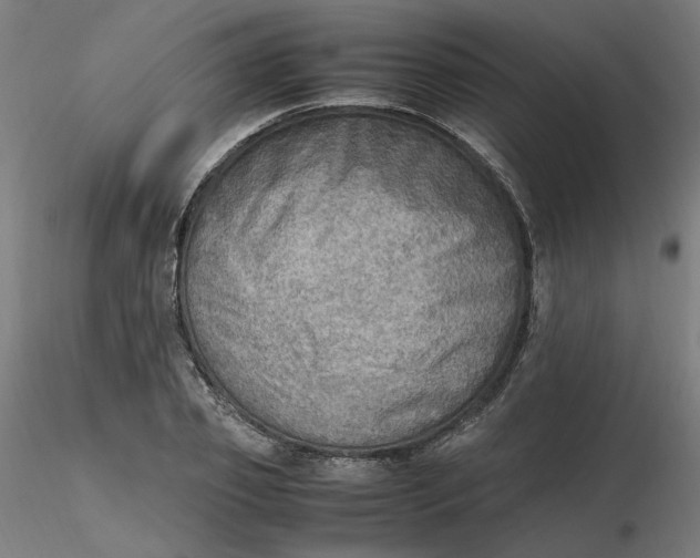 X0000116460933200912231358