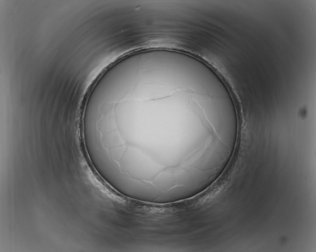 X0000116460941200912231358