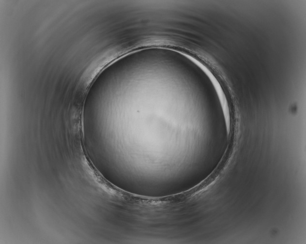 X0000116460945200912231358