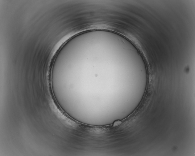 X0000116460947200912231358
