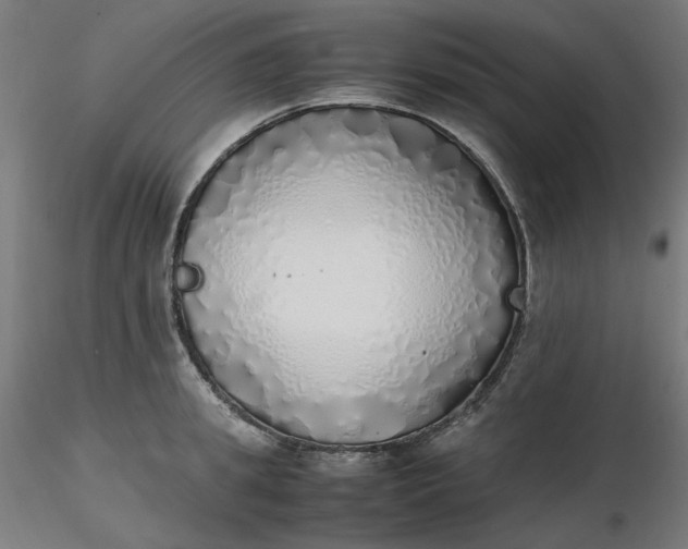 X0000116460949200912231358