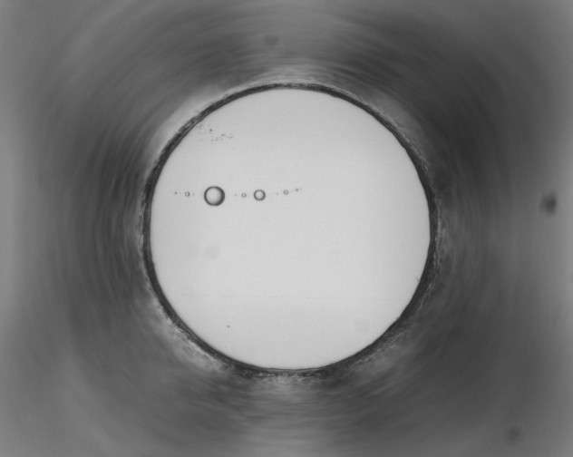 X0000116460950200912231358