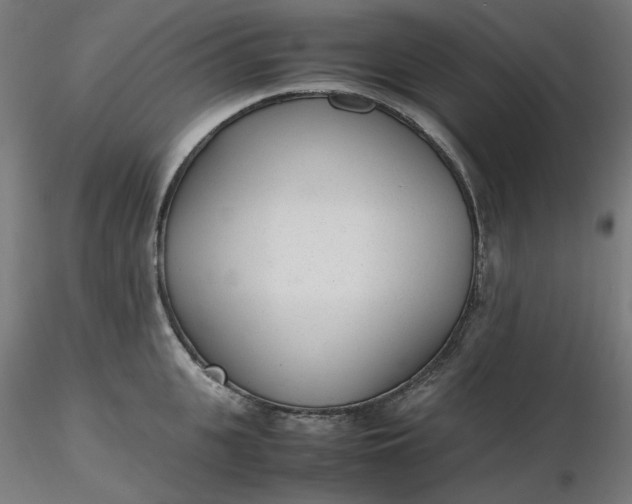 X0000116460951200912231358