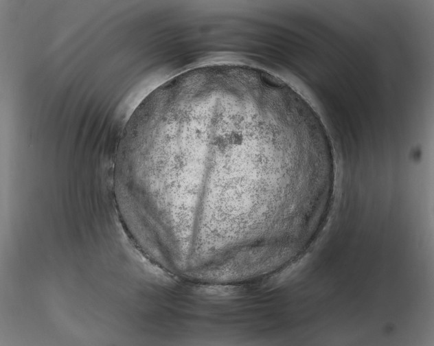X0000116460953200912231358