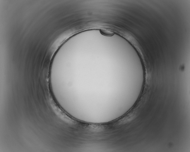 X0000116460954200912231358